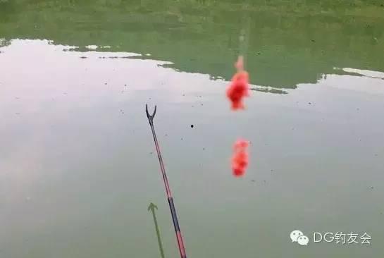 钓鱼开饵视频,跟随视频轻松学会开饵技巧