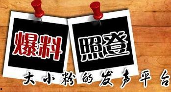 美国新闻网爆料平台,揭秘权力背后的真相！”