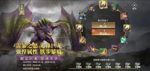 中国巨龙爆料视频大全,揭秘神秘龙族传奇