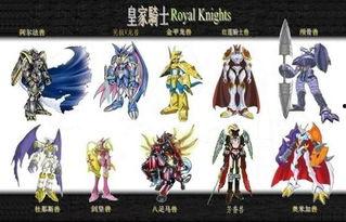 皇家骑士教团在线播放,荣耀与冒险的在线传奇