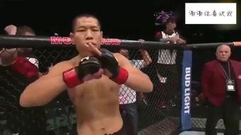 ufc惨烈视频大全,惨烈对决背后的惊心动魄