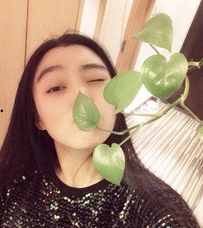 范冰冰替身明星脸,揭秘幕后替身的风采与传奇