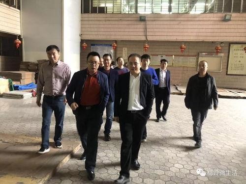 梅岭街道书记爆料视频,视频爆料背后的真相与挑战