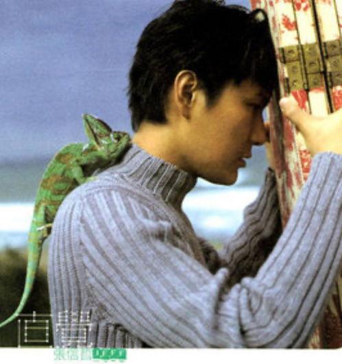 爱的证据孙琦视频,孙琦视频中的感人瞬间回顾