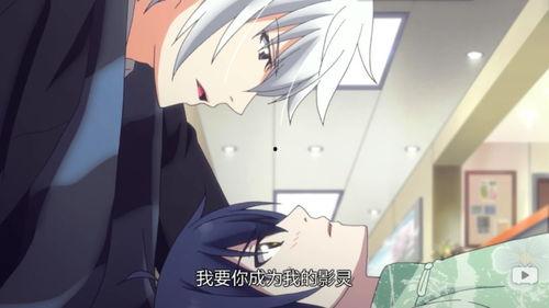 灵契日本评分,日本评分揭秘，这部作品究竟有何魅力？