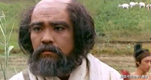 达摩祖师电视剧免费观看,禅宗智慧，免费观看，心灵之旅启程