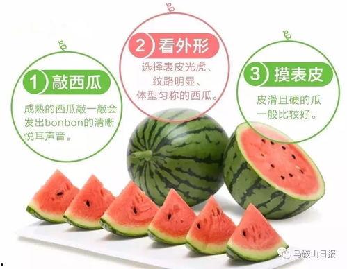 吃瓜娱乐社大咖,揭秘娱乐圈背后的故事与真相