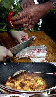 娱乐吃瓜酱美食素材视频,揭秘明星们的私房美食与吃瓜乐趣