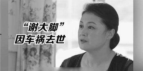 娱乐圈的吃瓜影帝免费小说